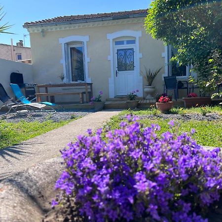 Charmante Maison Climatisee Avec Piscine Au Calme A Carcassonne Eksteriør billede