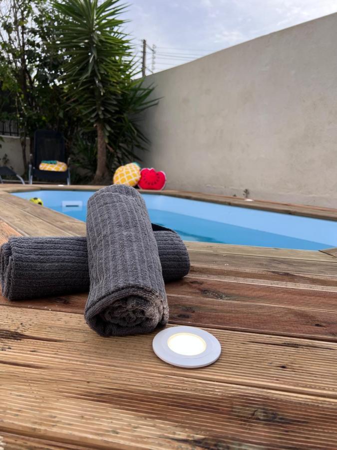 Charmante Maison Climatisee Avec Piscine Au Calme A Carcassonne Eksteriør billede